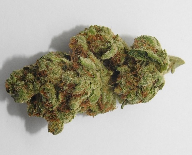 SB KUSH