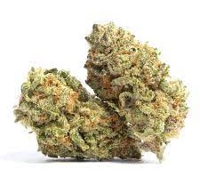 SUPER GLUE